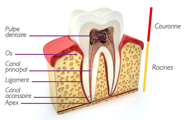 dentiste-belfort